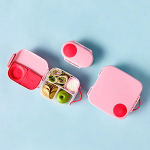 Mini Bento Lunchbox (Flamingo Fizz)