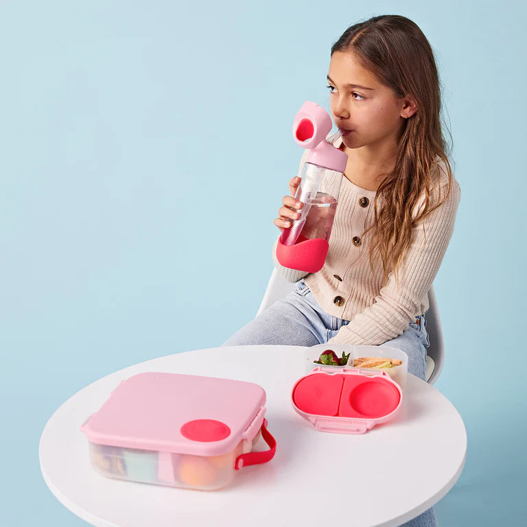 Snack Box (Flamingo Fizz)