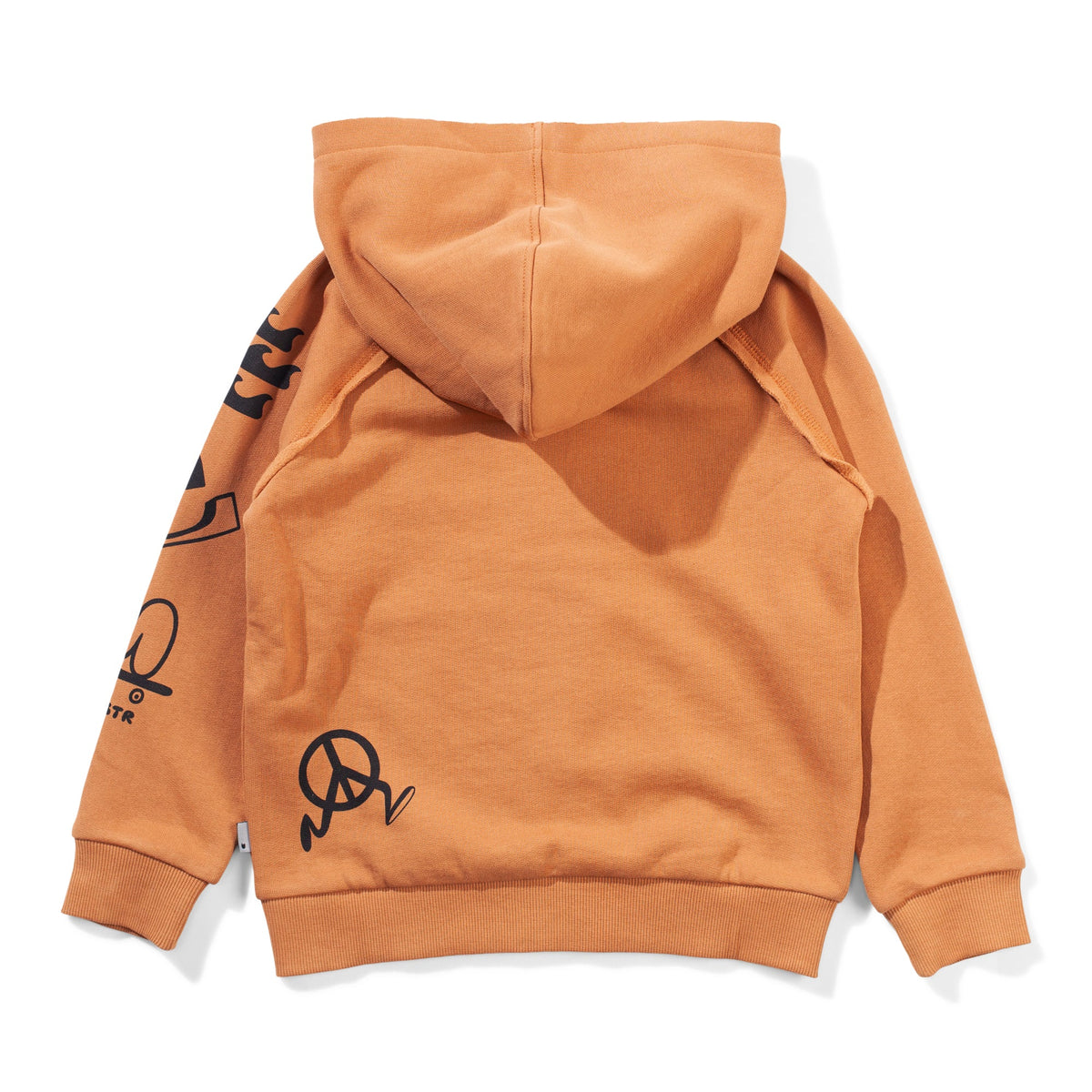 Icon Patch Hoody