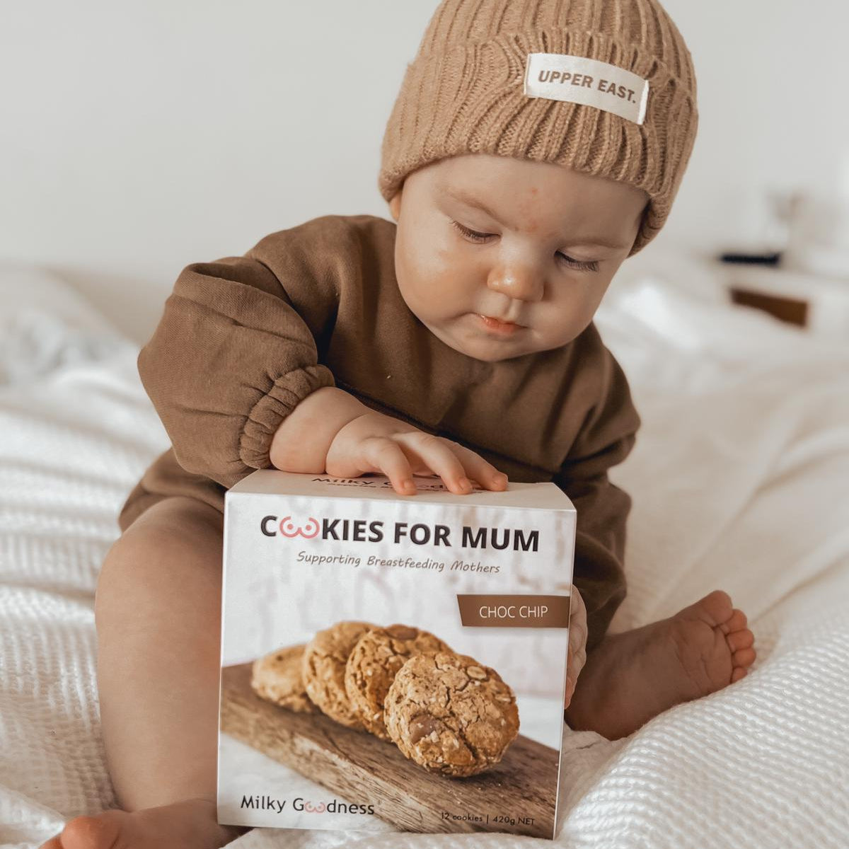 Chocolate Chip Lactation Cookies