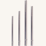 Fusion Smootie Stainless Straw
