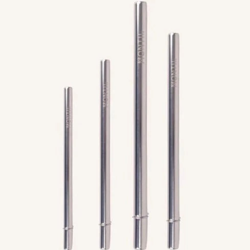 Fusion Smootie Stainless Straw