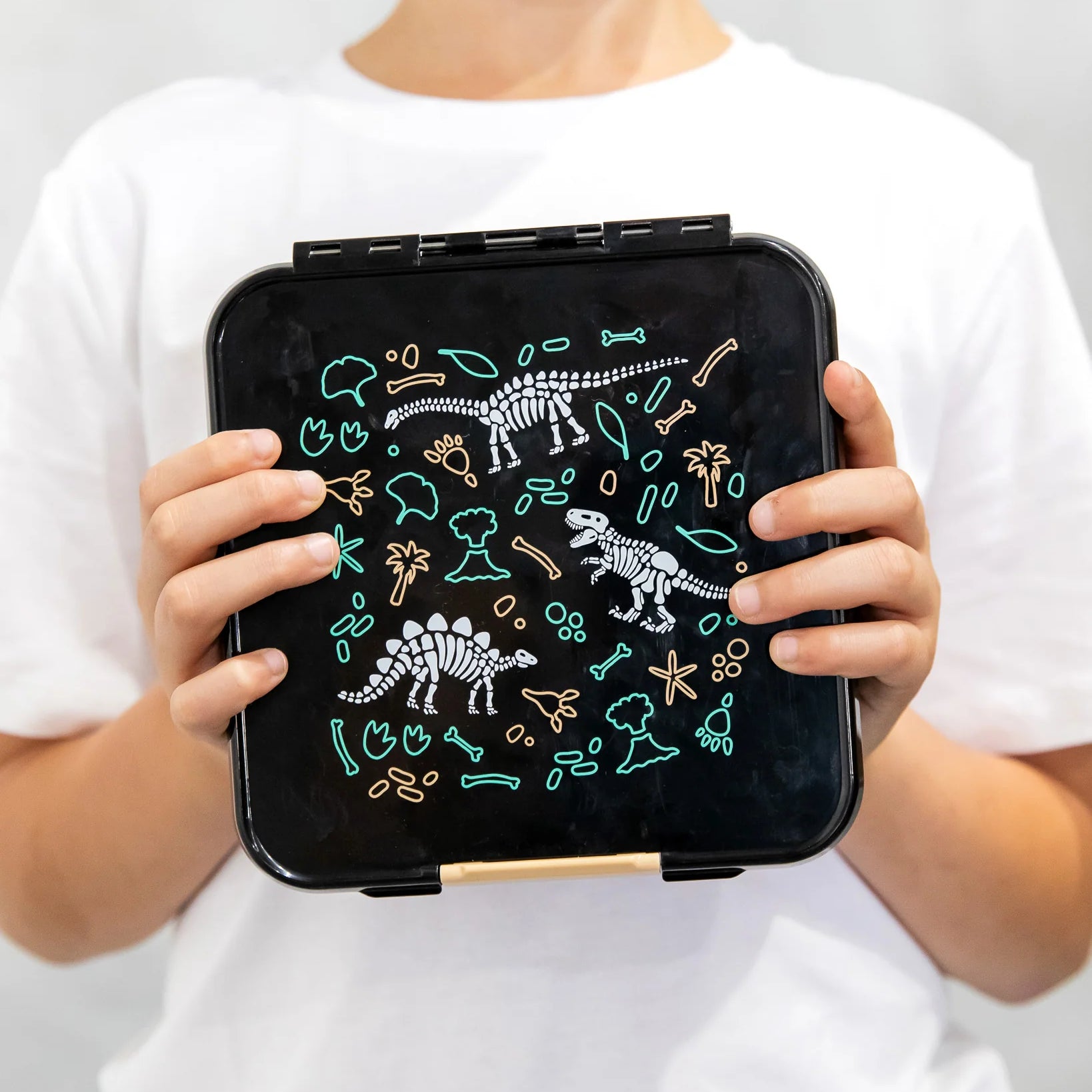 Bento Five Lunch Box (Dinosaur Land)