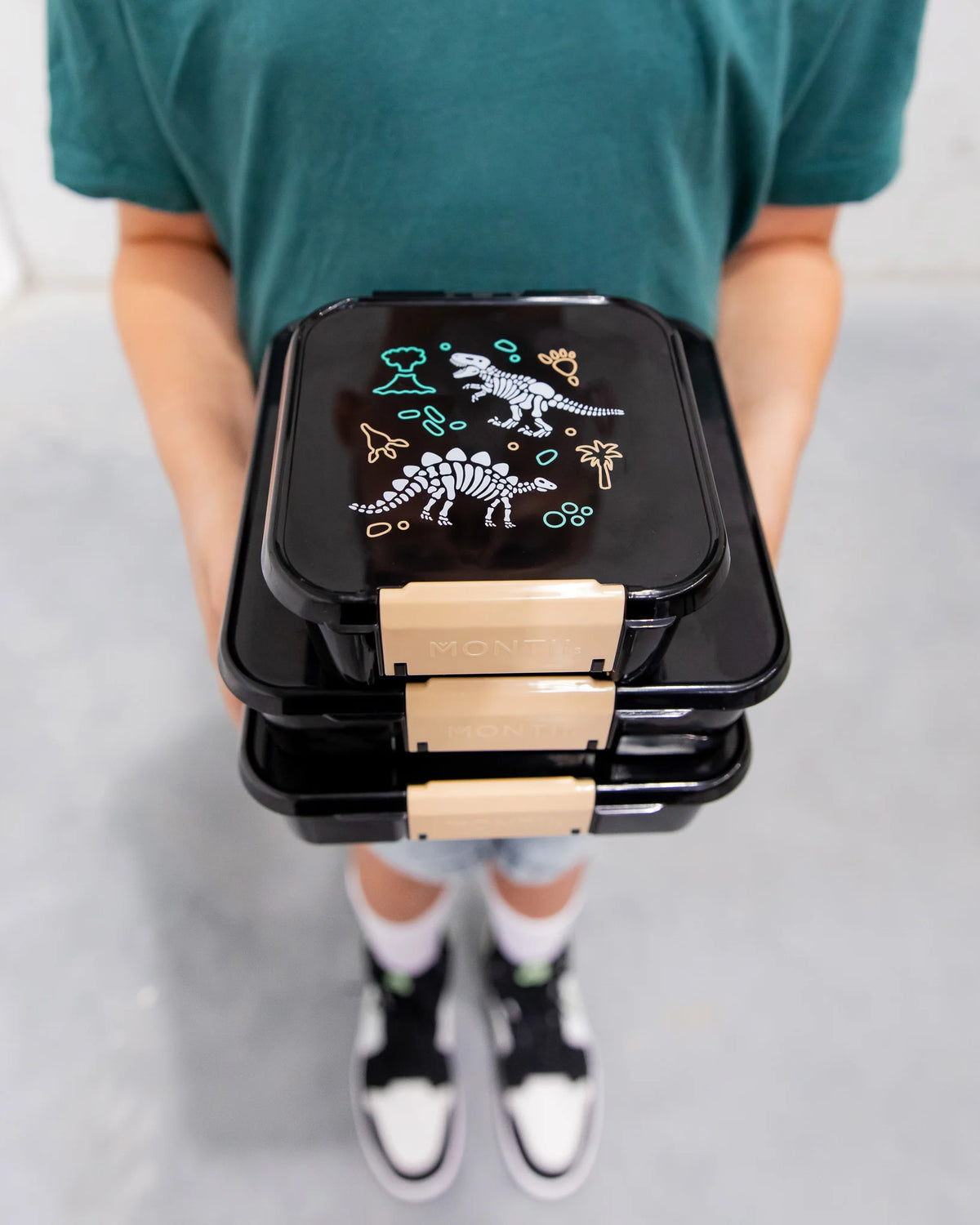 Bento Two Lunch Box (Dinosaur Land)