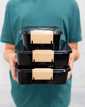 Bento Three Lunch Box (Dinosaur Land)