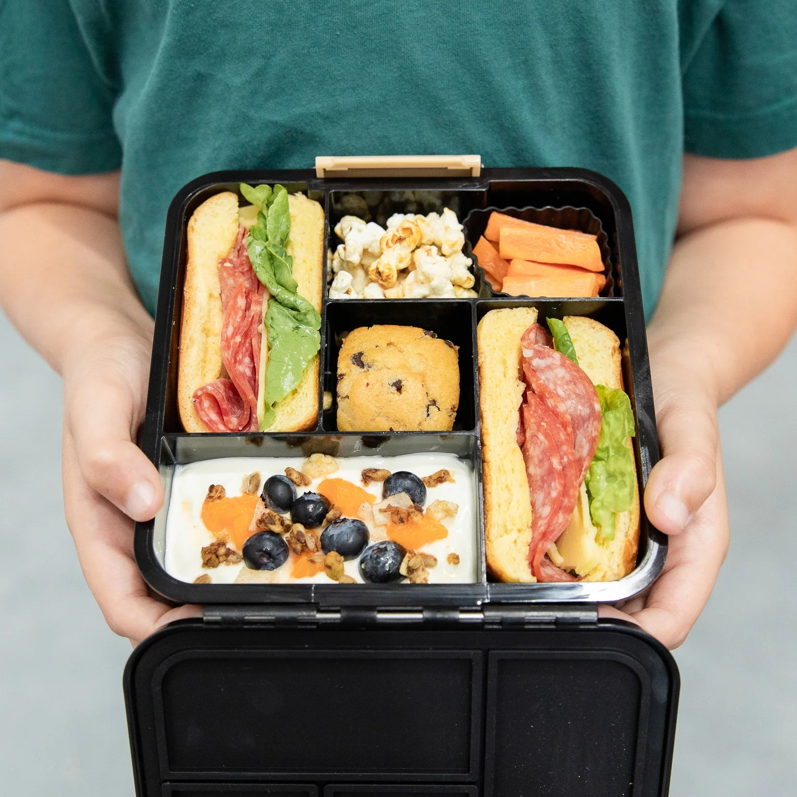 Bento Five Lunch Box (Dinosaur Land)