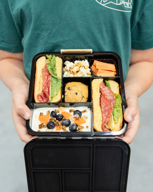 Bento Five Lunch Box (Dinosaur Land)