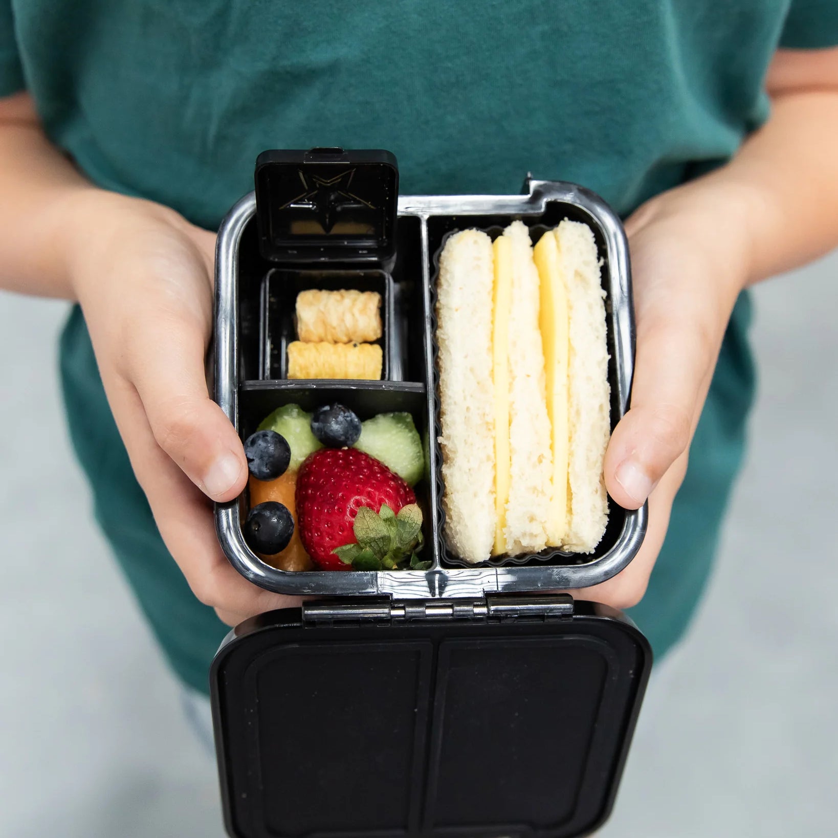 Bento Two Lunch Box (Dinosaur Land)