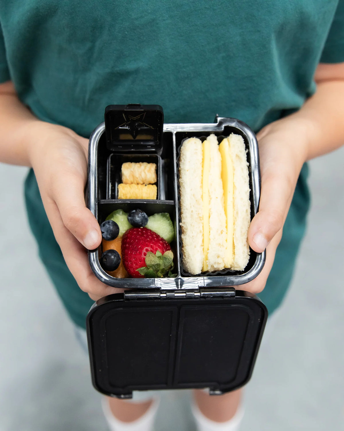 Bento Two Lunch Box (Dinosaur Land)