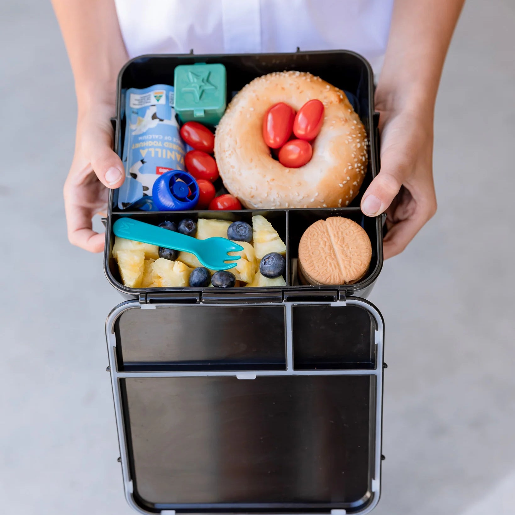 Bento Plus Lunch Box (Midnight)