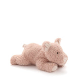 Paloma The Pig