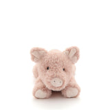 Paloma The Pig