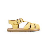 Olive Sunshine