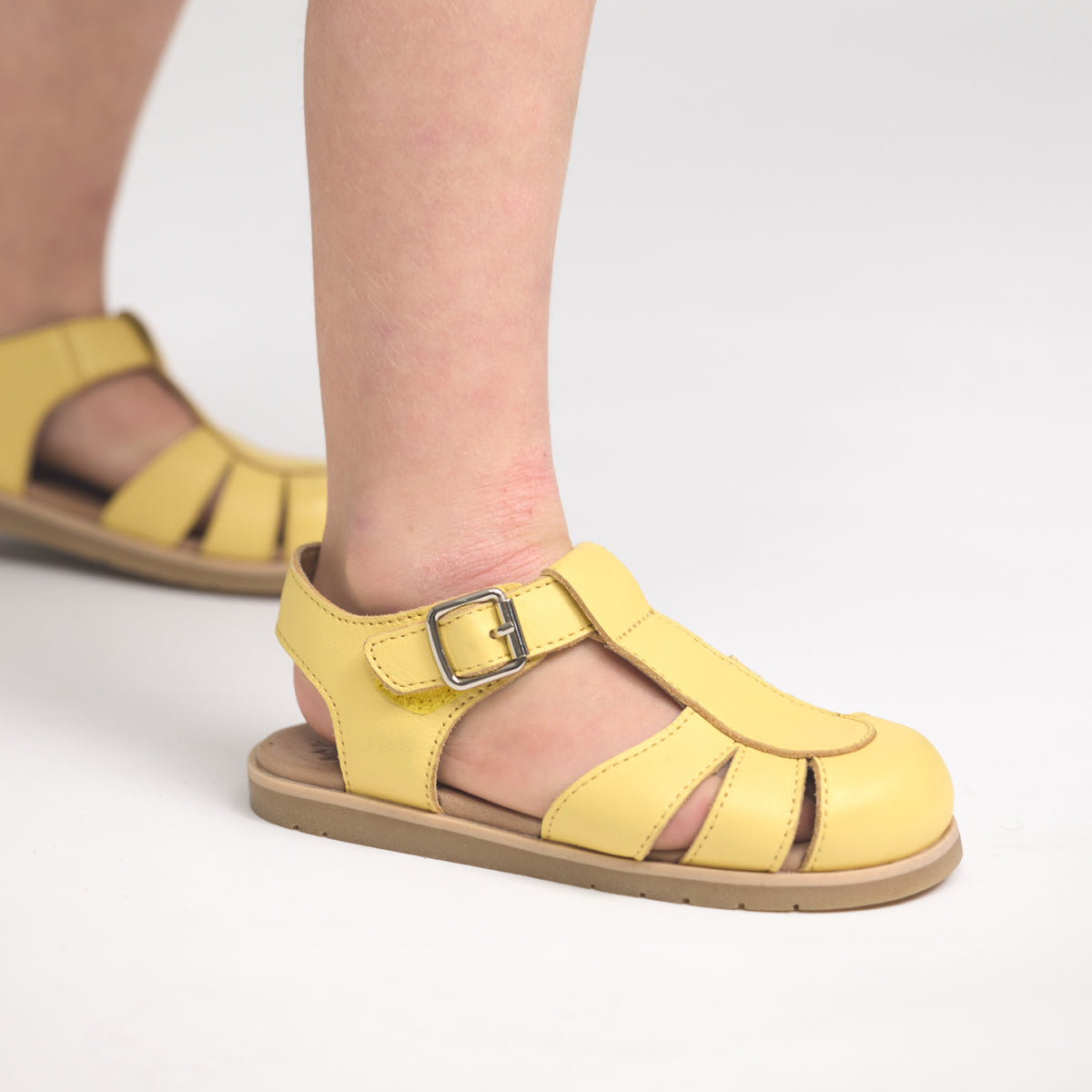 Olive Sunshine