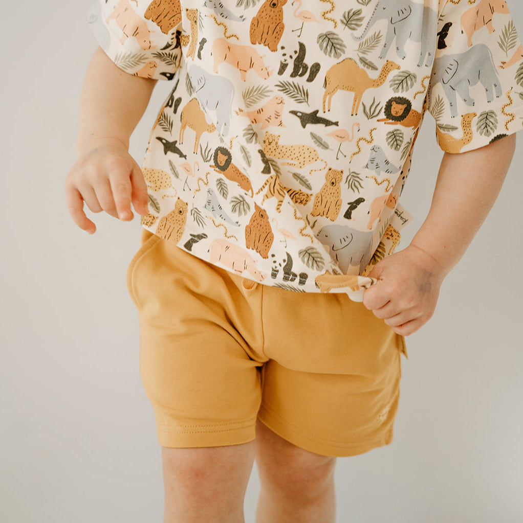 Animal Kingdom Short