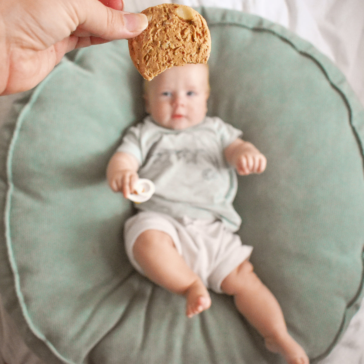 White Chocolate Chip & Macadamia Lactation Cookies