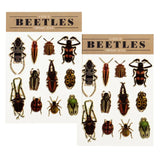 Tattoos (Beetles)