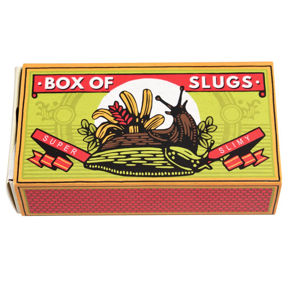 Creepy Crawlies Box Of Two Slimy Slugs