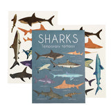 Tattoos (Shark)