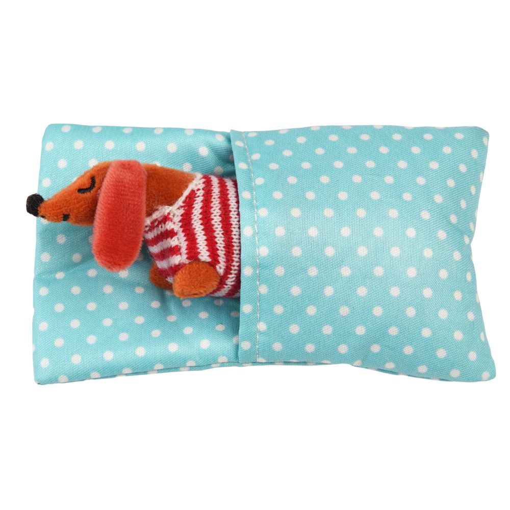 Mini Sausage Dog In A Box