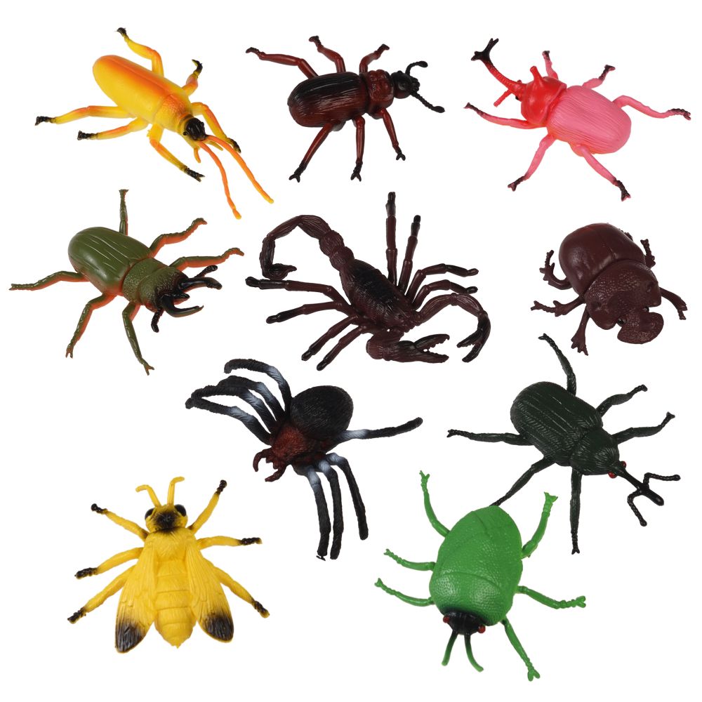 Creepy Crawlies