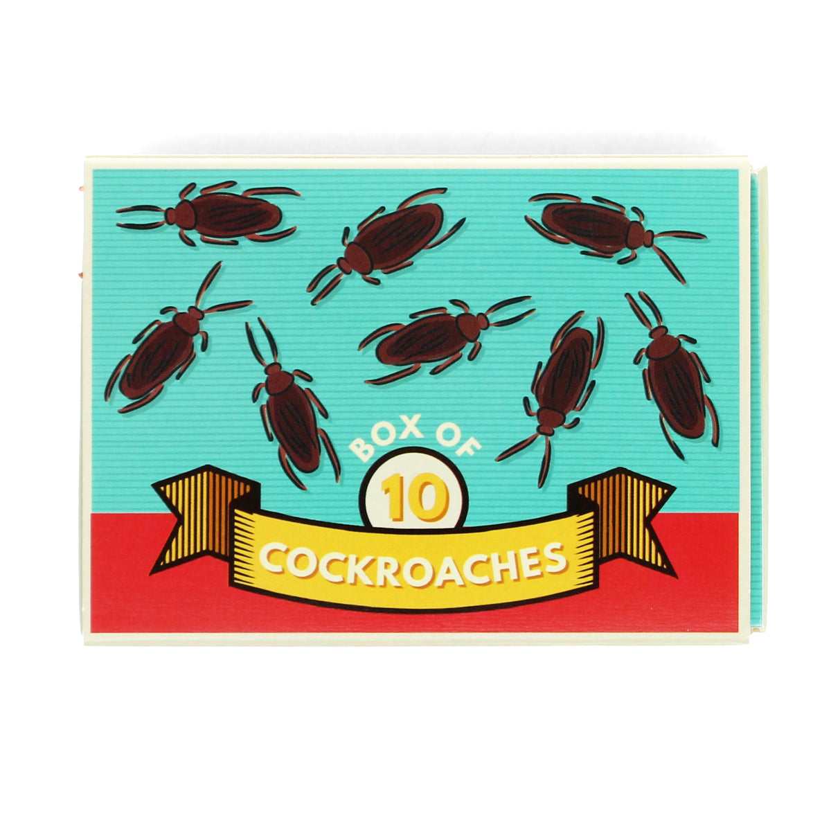 Cockroaches Box Of 10