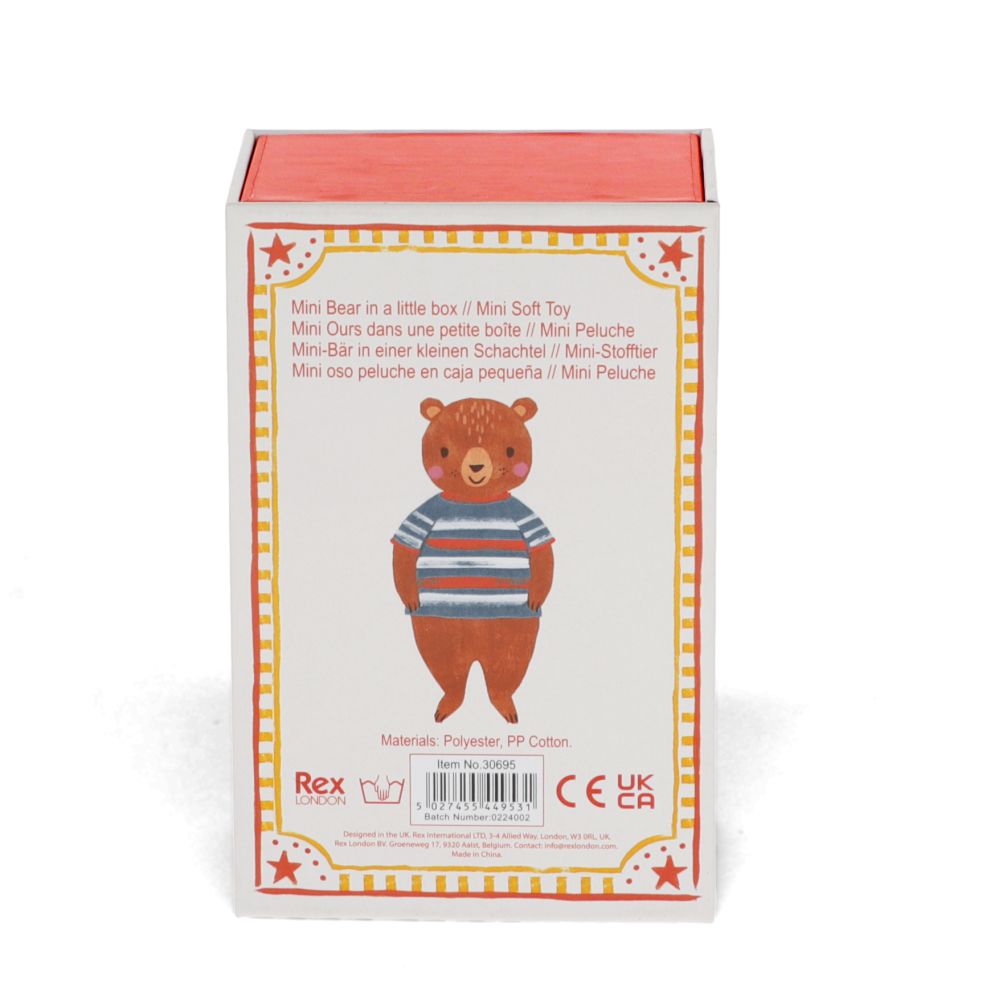 Mini Bear In A Little House