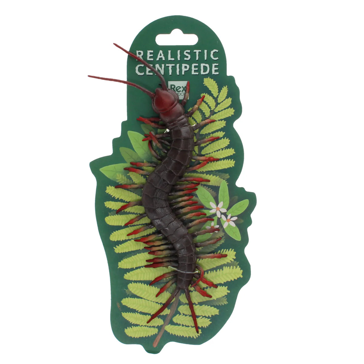 Realistic Toy Centipede