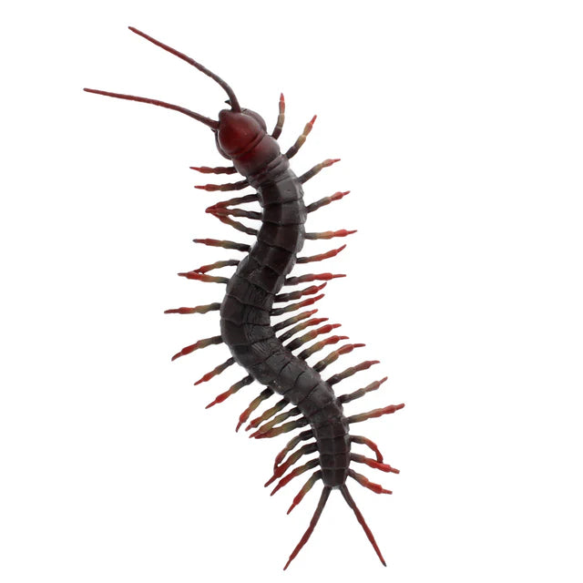 Realistic Toy Centipede