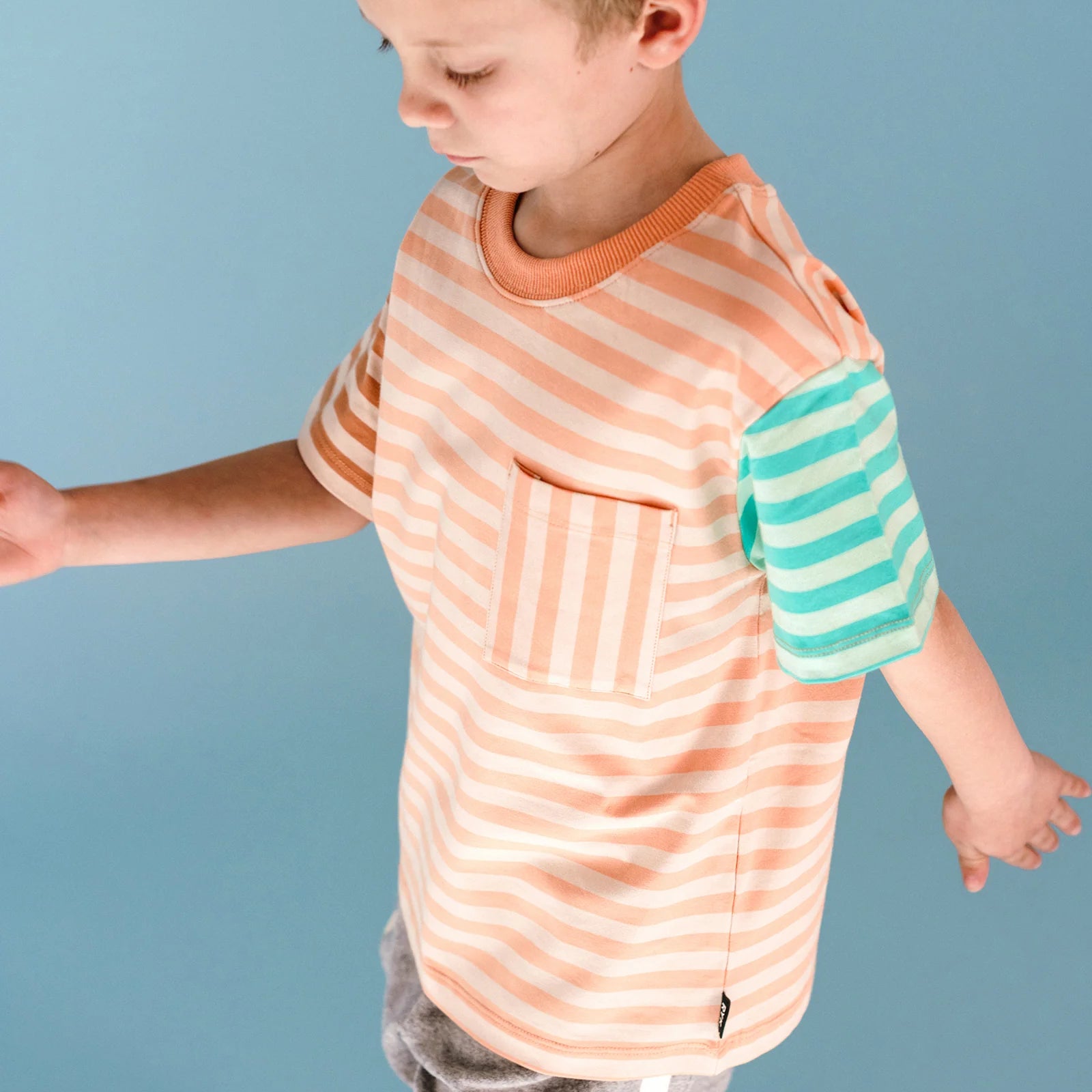 Printed Stripe SS Tee