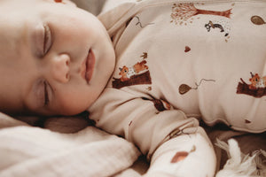 Autumn Bears Zipsuit