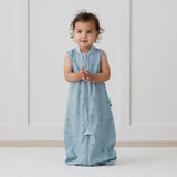 Jersey Sleep Suit Bag 0.2 tog (Dragonflies)