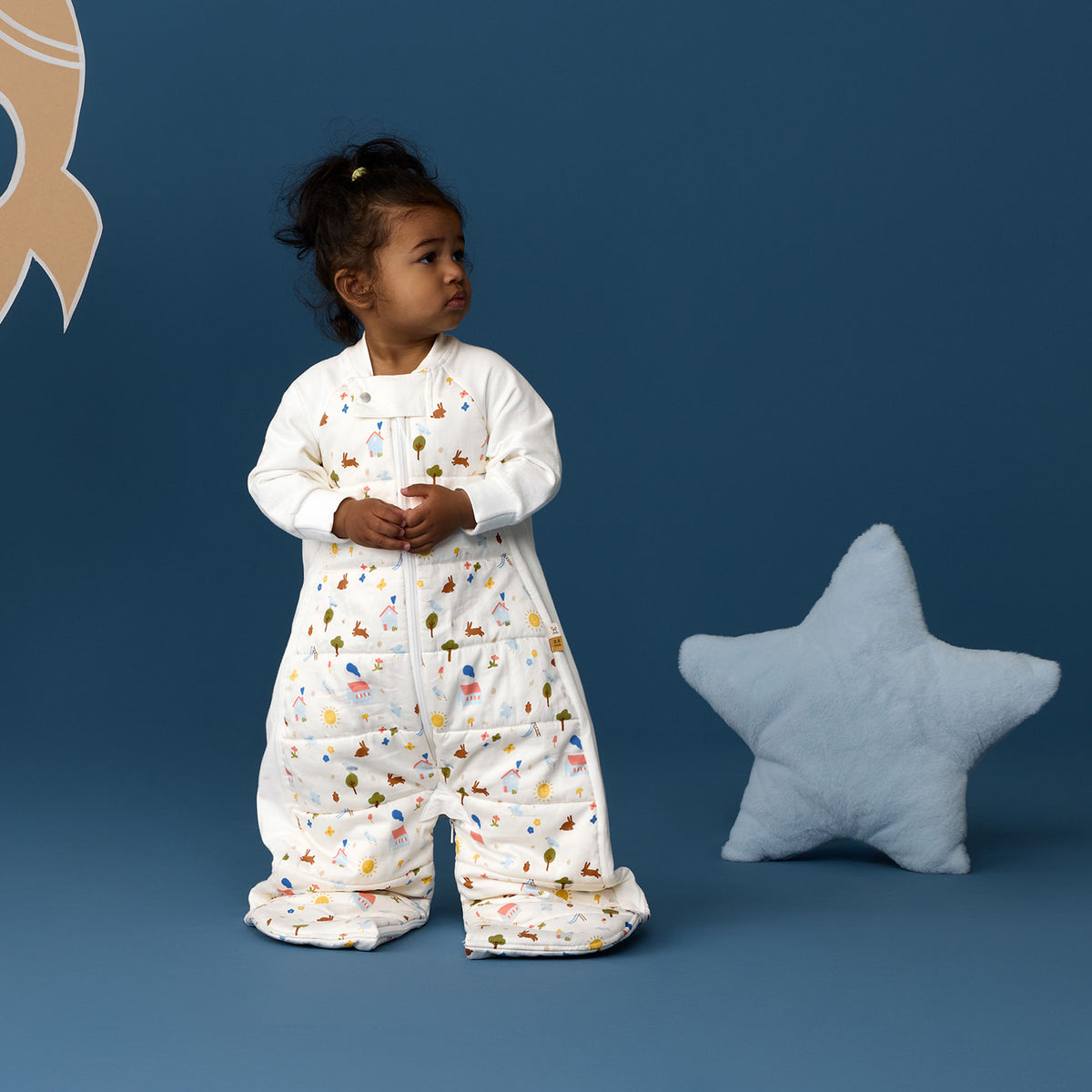 Sleep Suit Bag 2.5 Tog (Daydream)