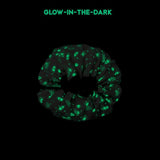 Space Toy (Glow in the Dark) Storage Bag