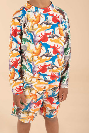 Dino Toys Boardshorts