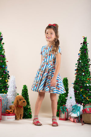 Reindeer Cheer Waisted Dress
