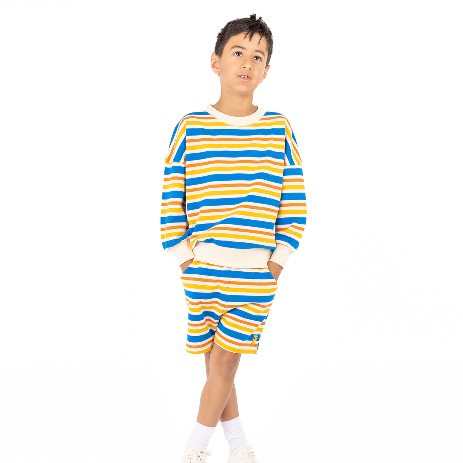 Vintage Stripe Sweatshirt