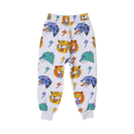 Slide image