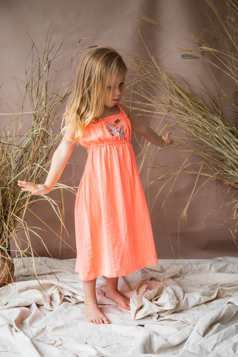 Vera Dress (Electric Peach)