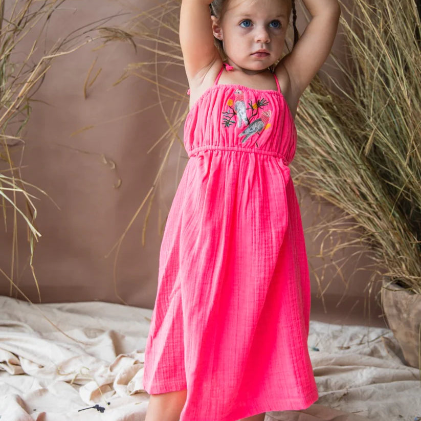 Vera Dress (Neon Blush)