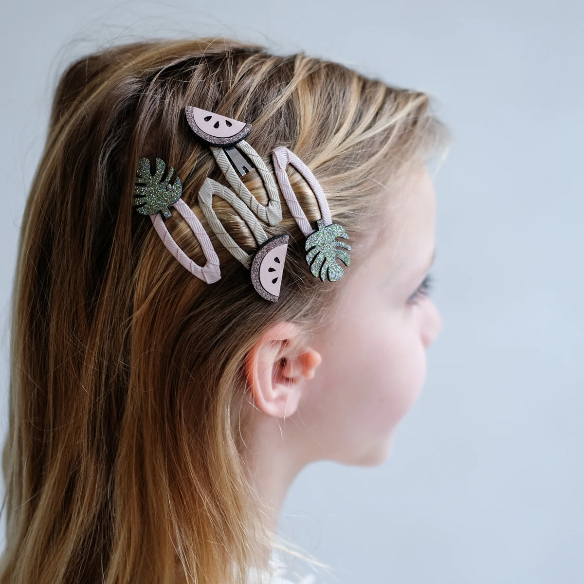 Watermelon Clip Pack - DINOS & BUTTERFLIES