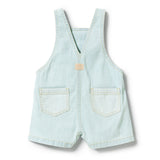 Denim Overall