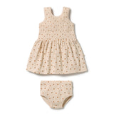 Little Lady Bugs Dress Set