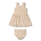 Little Lady Bugs Dress Set