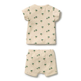 Tiny Palm Set