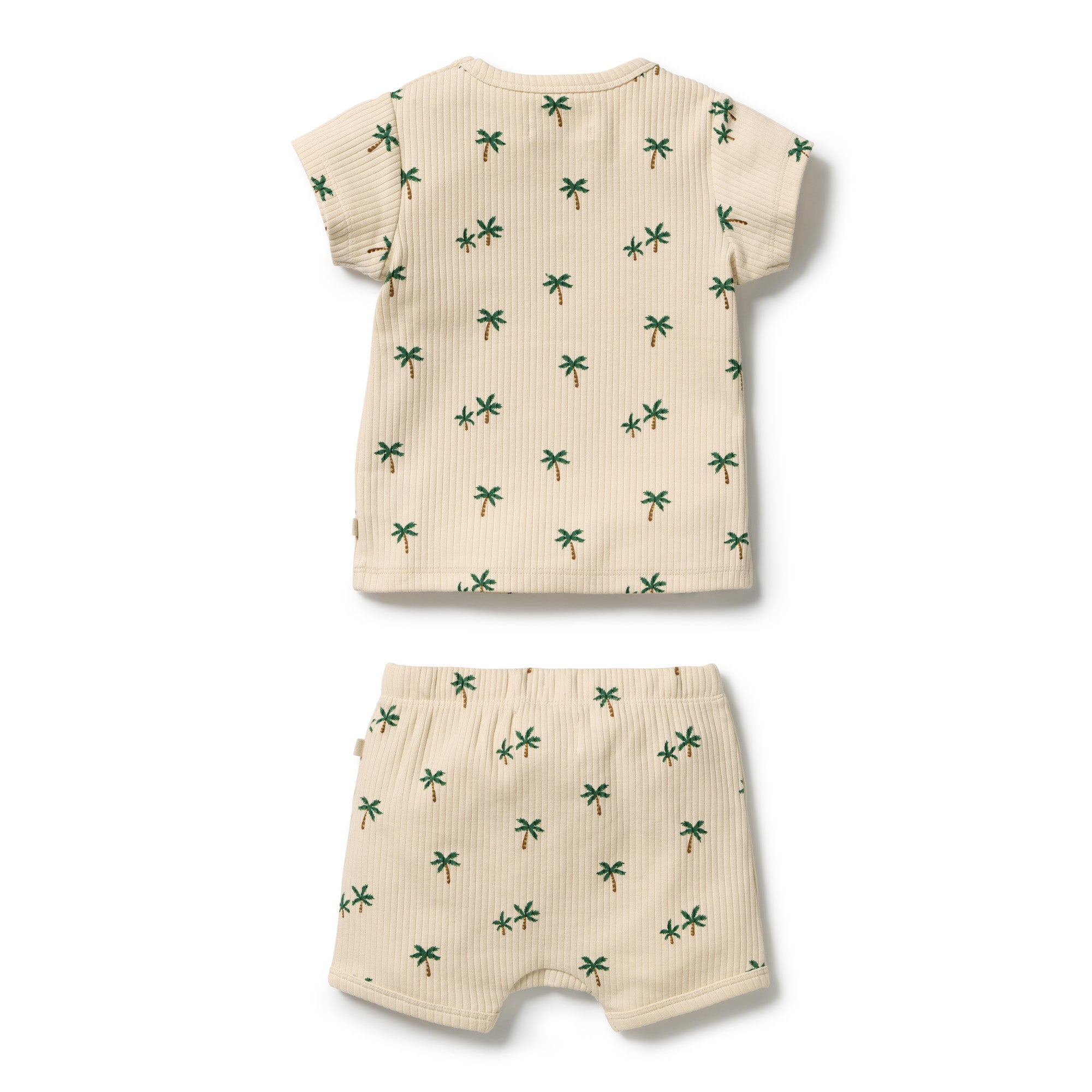 Tiny Palm Set