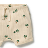 Tiny Palm Set