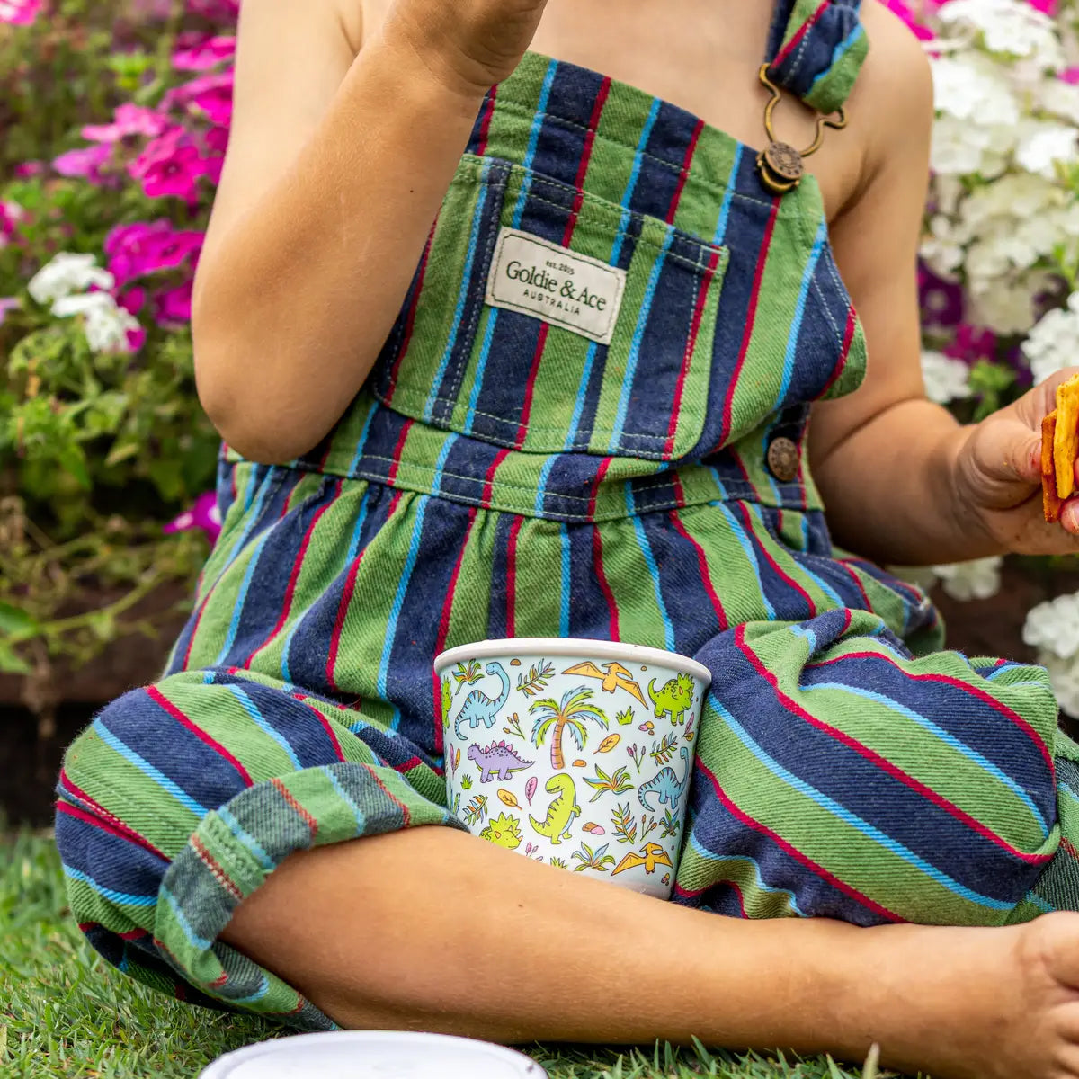 Snack-a-Saurus Bamboo SNACK POT