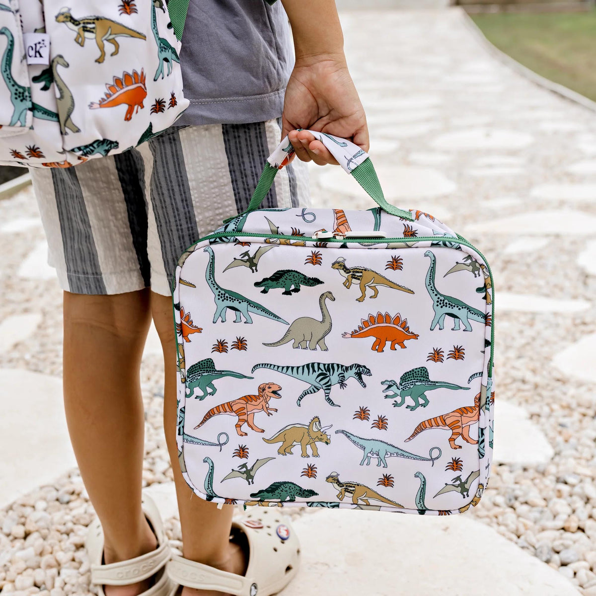 Insulated Lunch Bag (Dino Land)