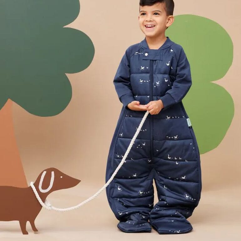 Sleep Suit Bag 2.5 tog (Lucky Ducks) Kawaii Kids